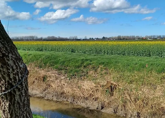 La Carte Postale Oye-Plage