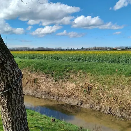 La Carte Postale Oye-Plage