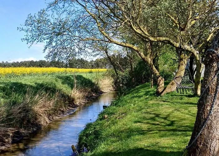 La Carte Postale Oye-Plage